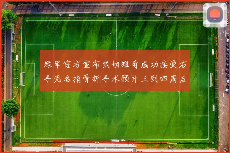 绿军官方宣布武切维奇成功接受右手无名指骨折手术预计三到四周后复查