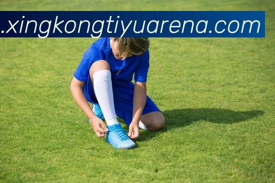 星空体育发展历程